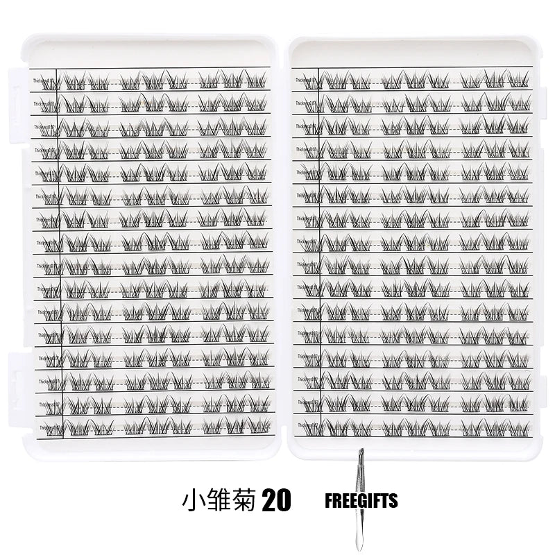 S0905b8ff6c104247851f11d0c7d18995l